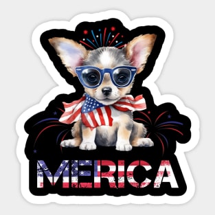 Cute chihuahua Dog Merica Memorial Day Patriot Sticker